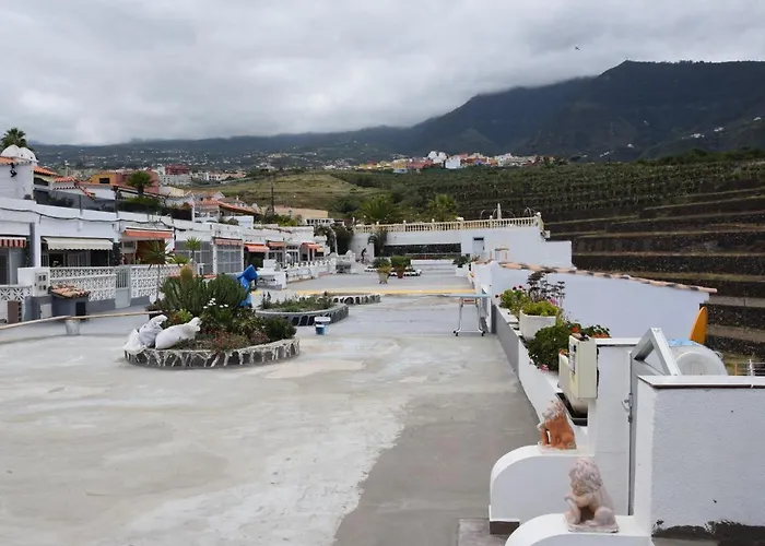 Meerblick-apartment Ula Appartamento Los Realejos